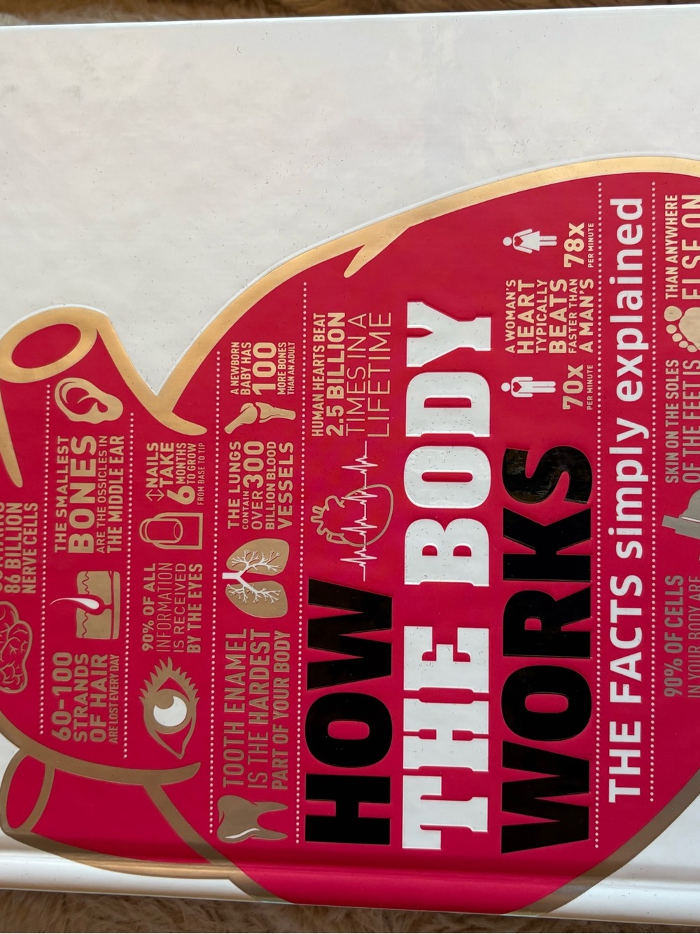 How The Body Works - Red Educational Book